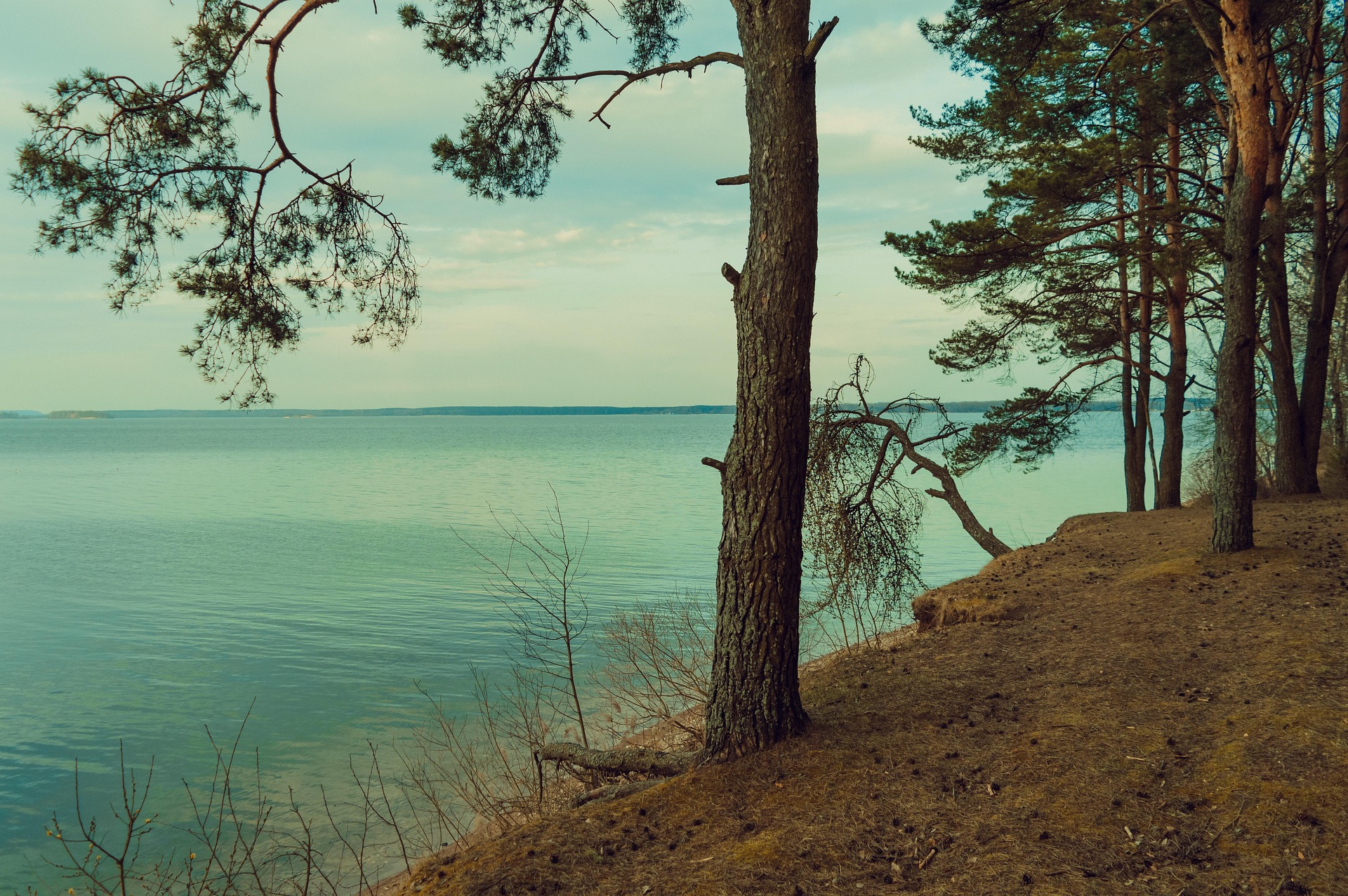 pixabay.com pixabay.com