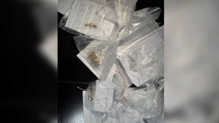 Қарағандыда пәтер тонаумен айналысқан қылмыстық топ ұсталды